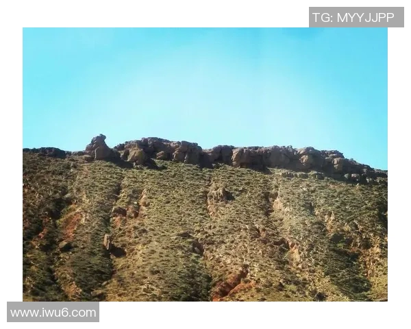 弗拉霍维奇的崛起与挑战：如何在足球世界中书写自己的传奇故事